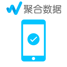 手机在网状态